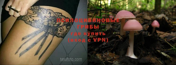 a pvp Богородицк