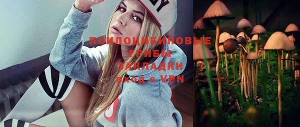 a pvp Богородицк