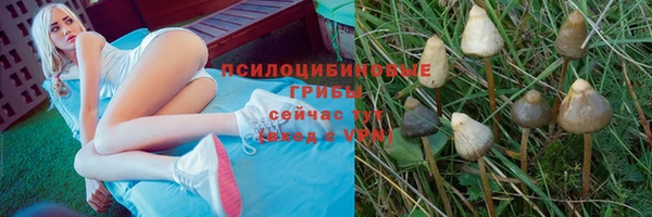 тгк Беломорск