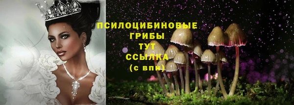 a pvp Богородицк